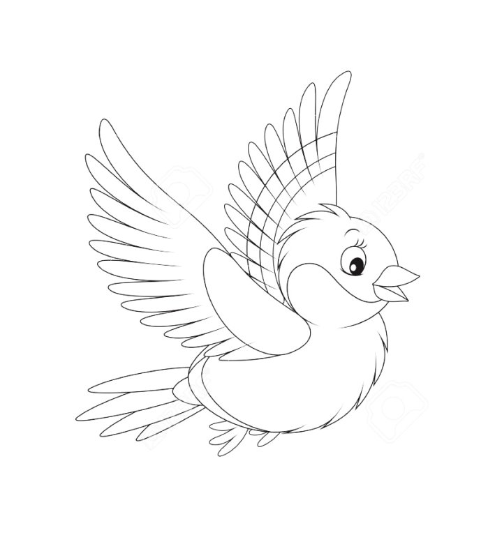 Птица в полете раскраска для детей