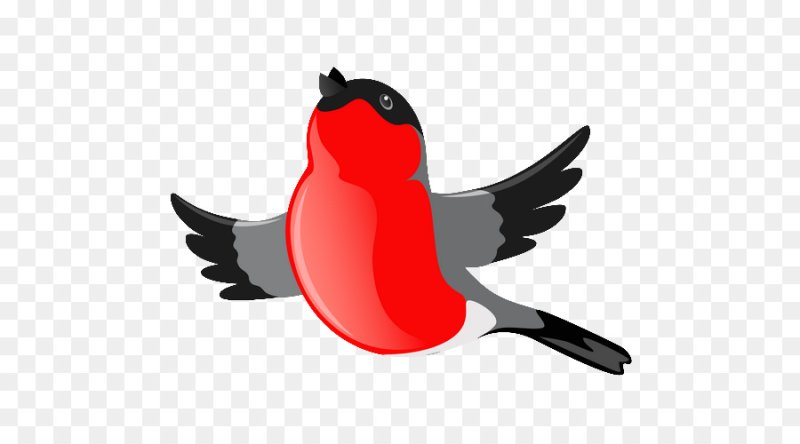 Снегирь картинка на прозрачном фоне