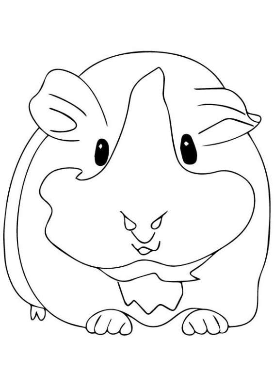 Хомяк раскраска для детей