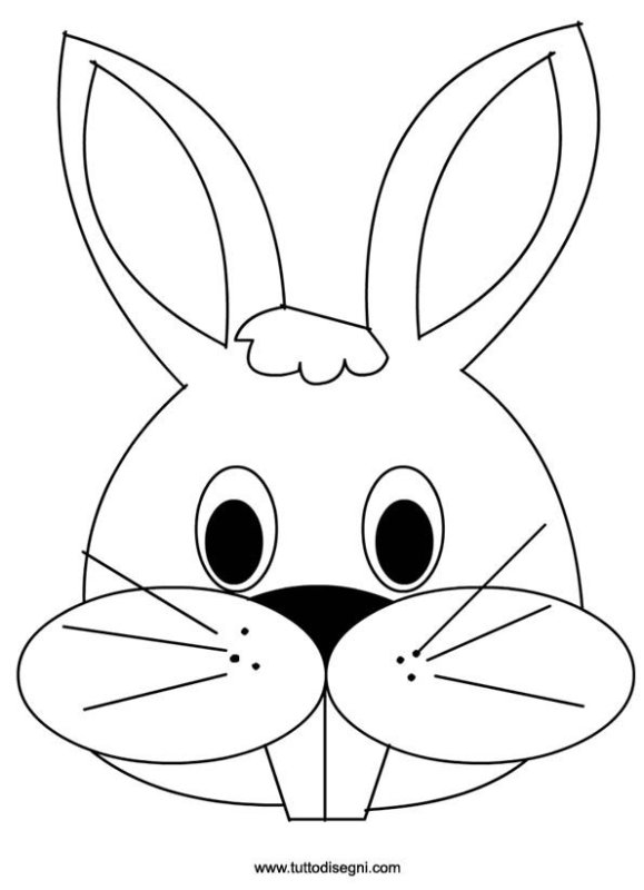 Мордочка зайца