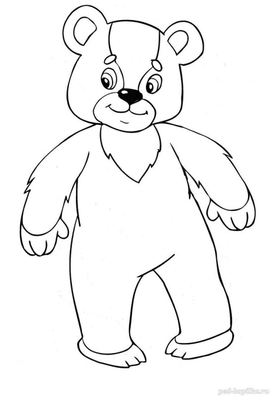 Медведь раскраска для детей