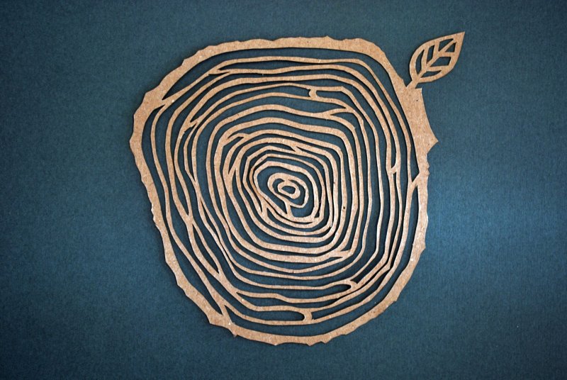 Стилизованный срез дерева