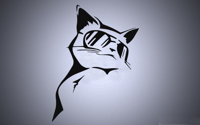 Граффити котик