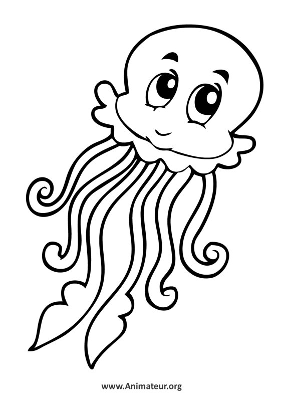 Раскраска морские обитатели