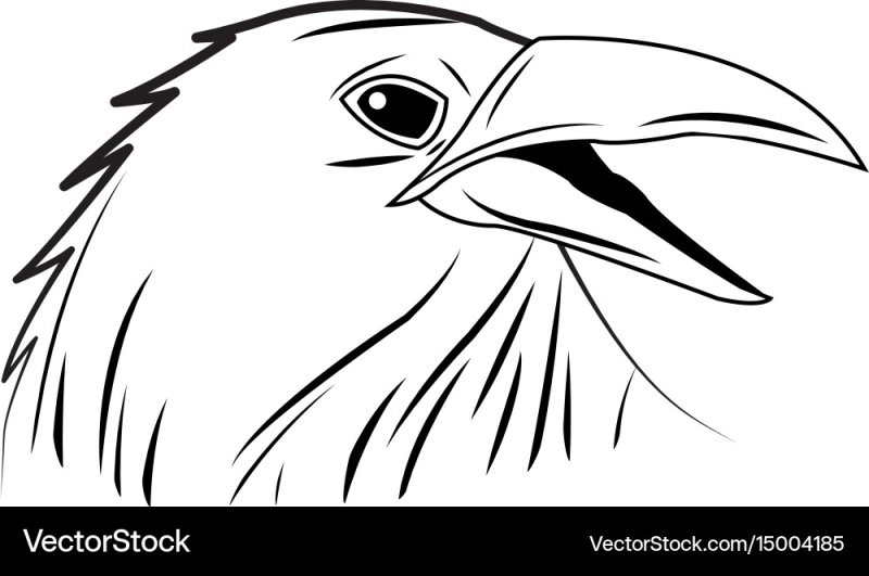 Раскраска вороны для детей