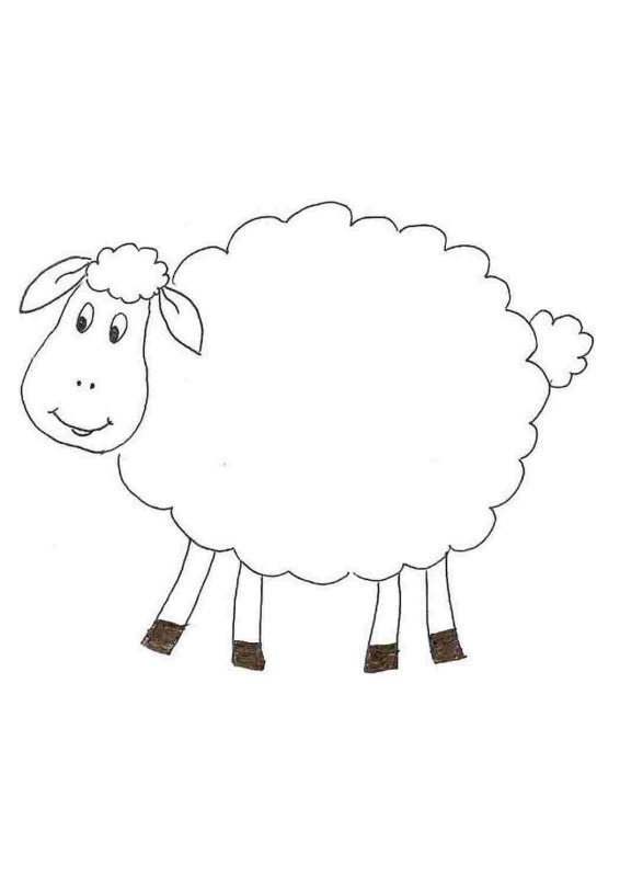 Овечка раскраска для детей