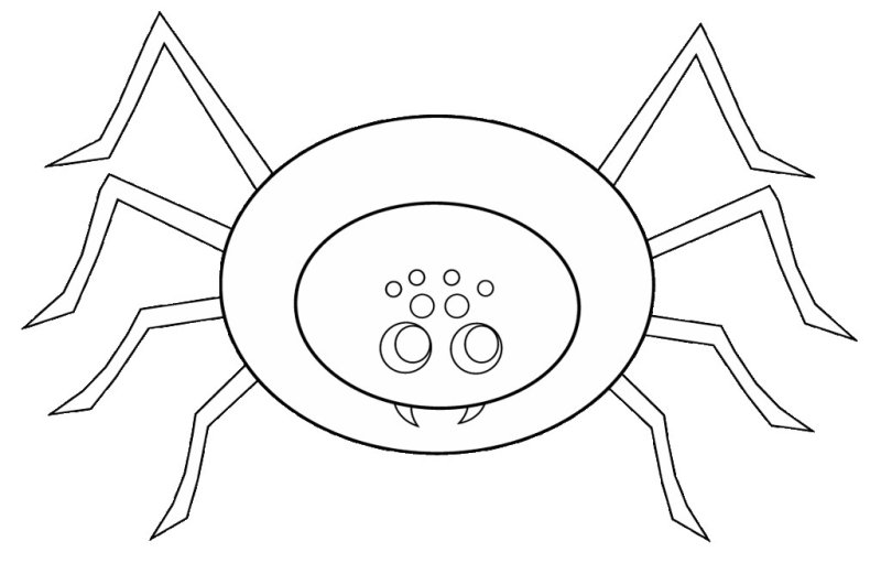 Паучок раскраска для детей