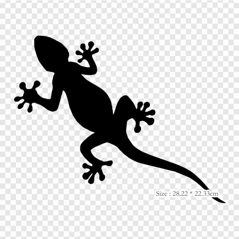 Ящерица силуэт