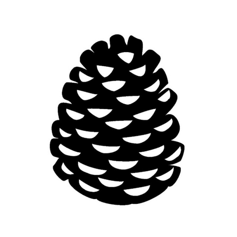 Шишка трафарет