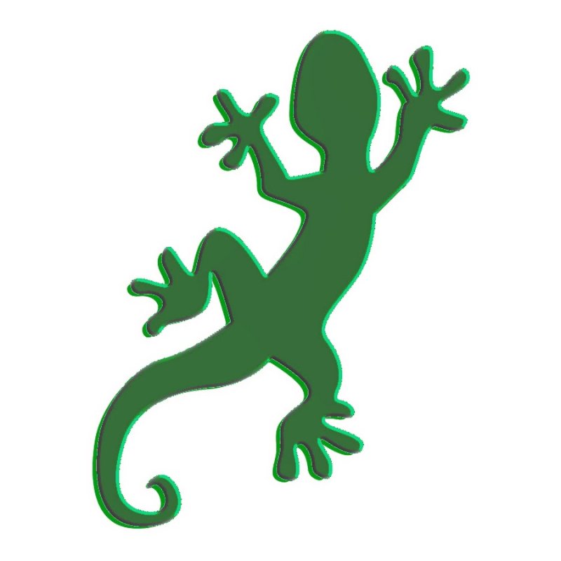 Ящерица контур