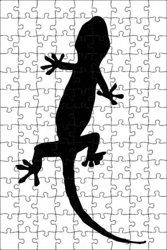 Трафарет ящерицы