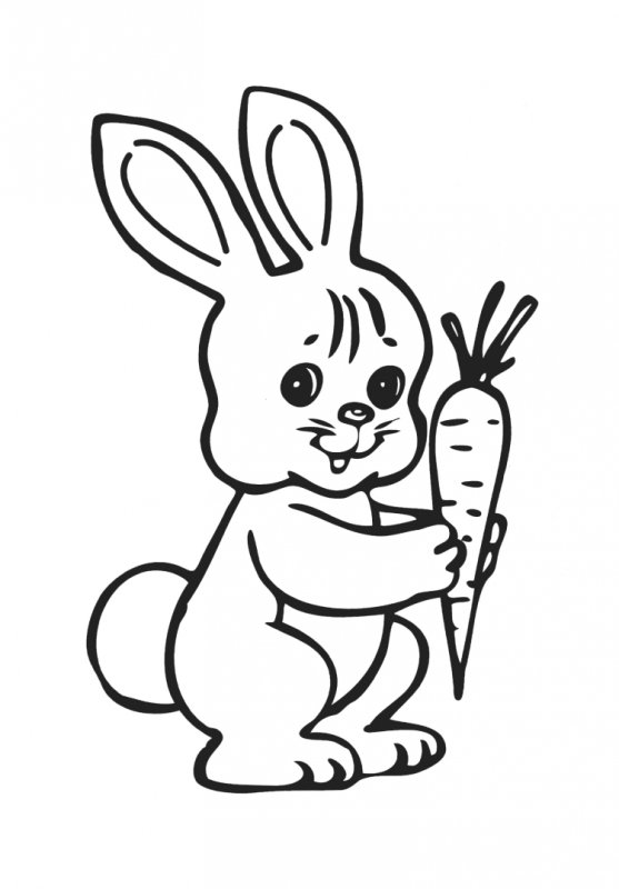 Зайчик раскраска для детей