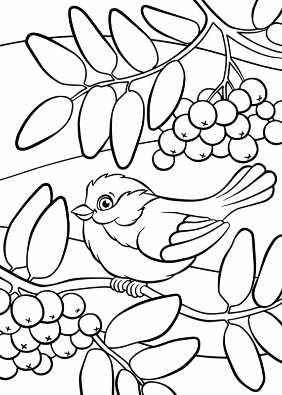 Снегирь раскраска