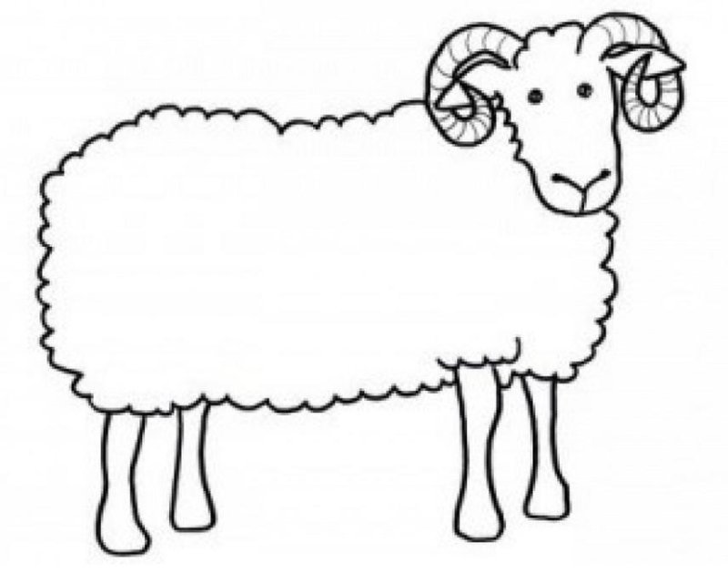 Овечка раскраска для детей