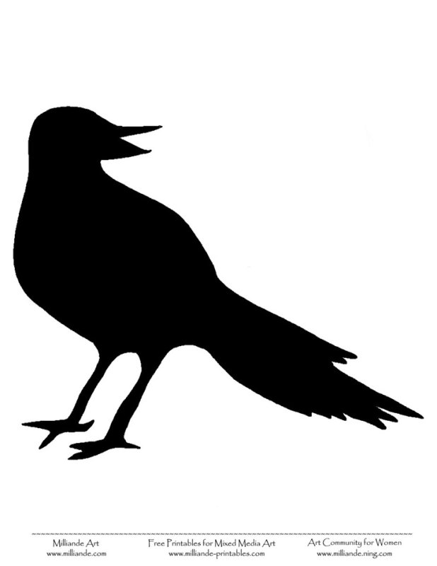 Ворон очертание
