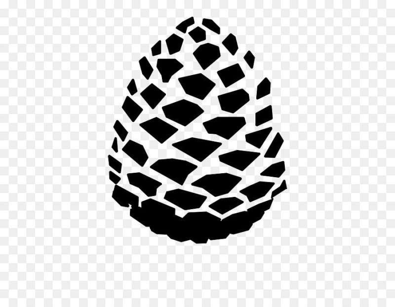 Трафарет шишки