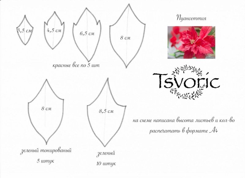 Пуансеттия выкройка для лепестков