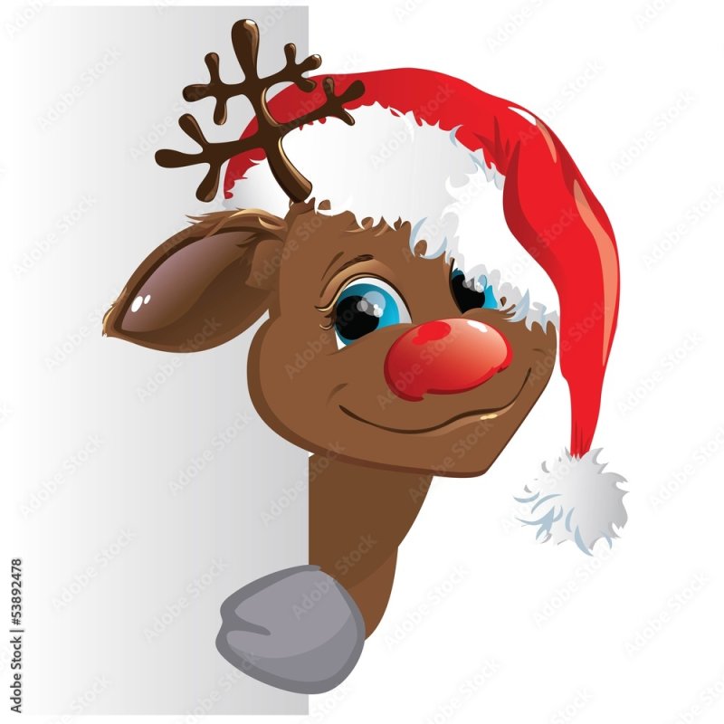 Рождественский олень заглядывает в окно