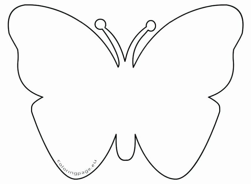 Трафареты бабочки