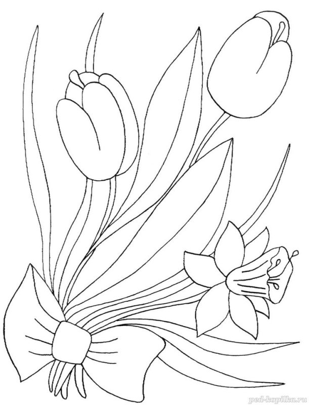 Весенние цветы раскраска