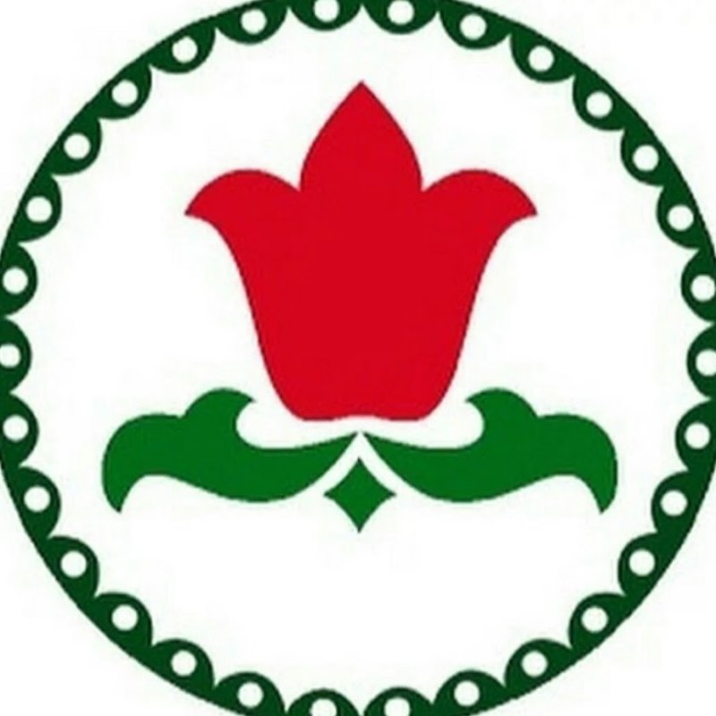 Татарские орнаменты ЛАЛЭ