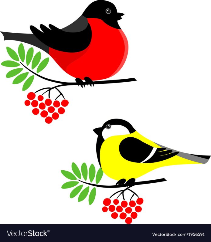 Птичка Снегирь для детей