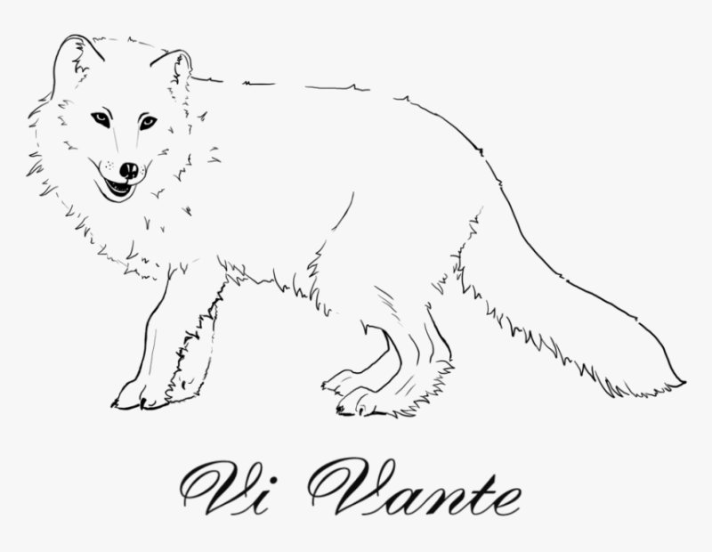 Песец рисунок для детей