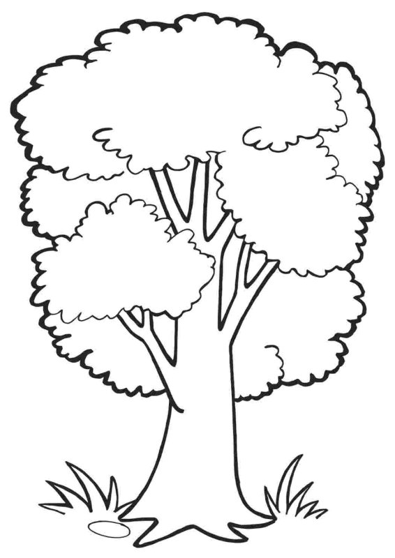 Деревья и кусты раскраска