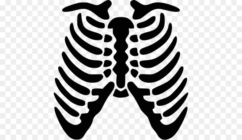 Трафарет ребра скелета