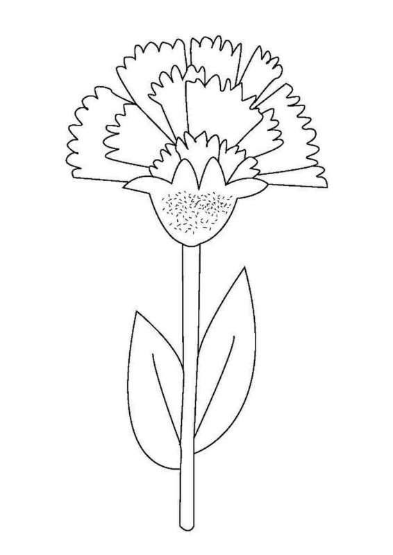 Трафарет гвоздики для вырезания