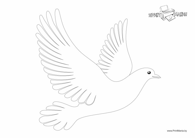 Трафарет голубя для вырезания из бумаги