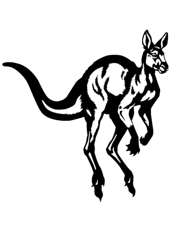 Кенгуру черно белая