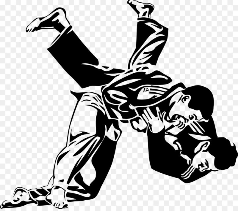 Дзюдо самбо вектор