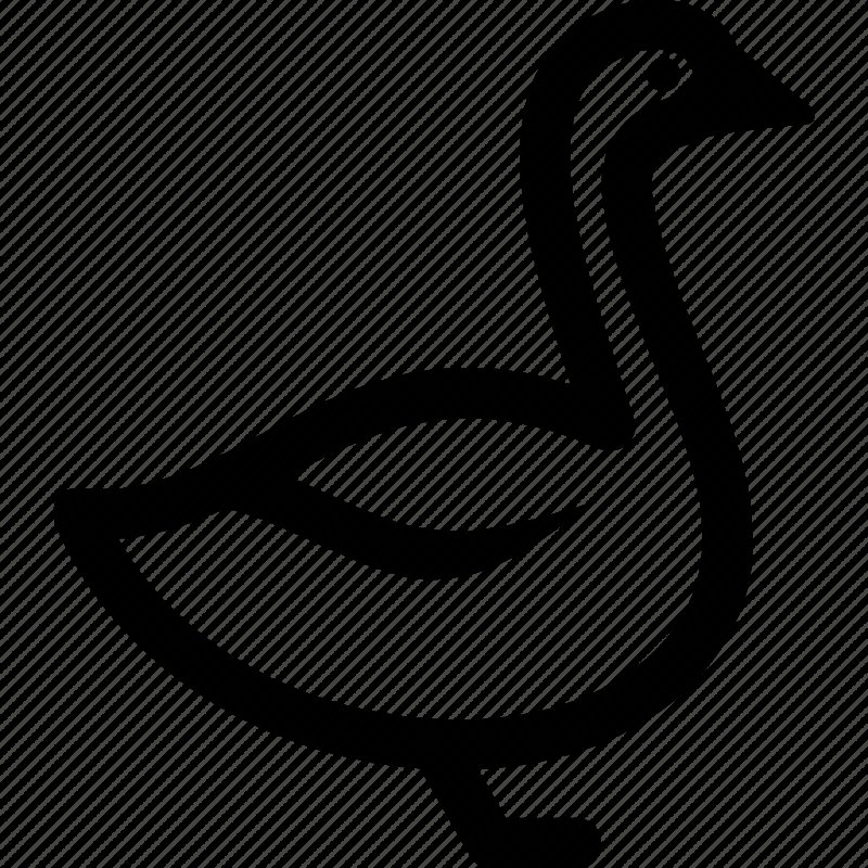 Утка схематично