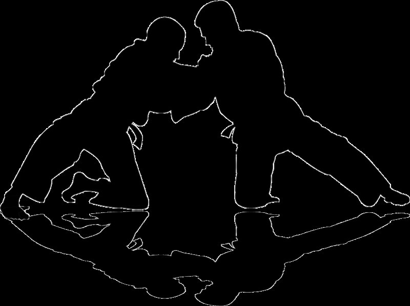 Дзюдо силуэт