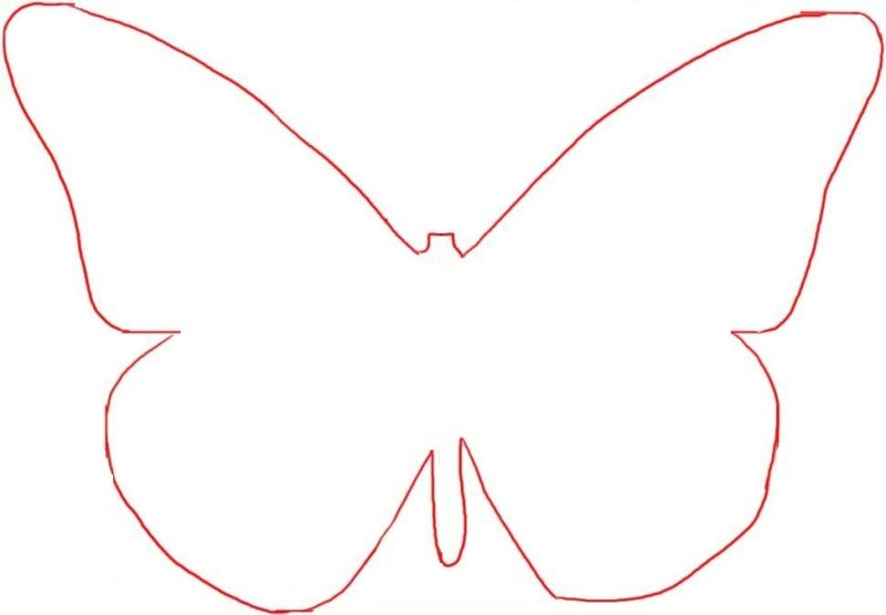Трафареты бабочки