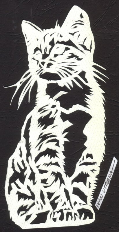 Трафарет кота на окно