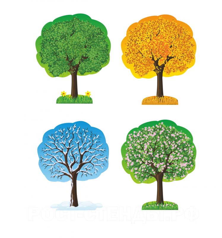 Дерево по сезонам для детского сада