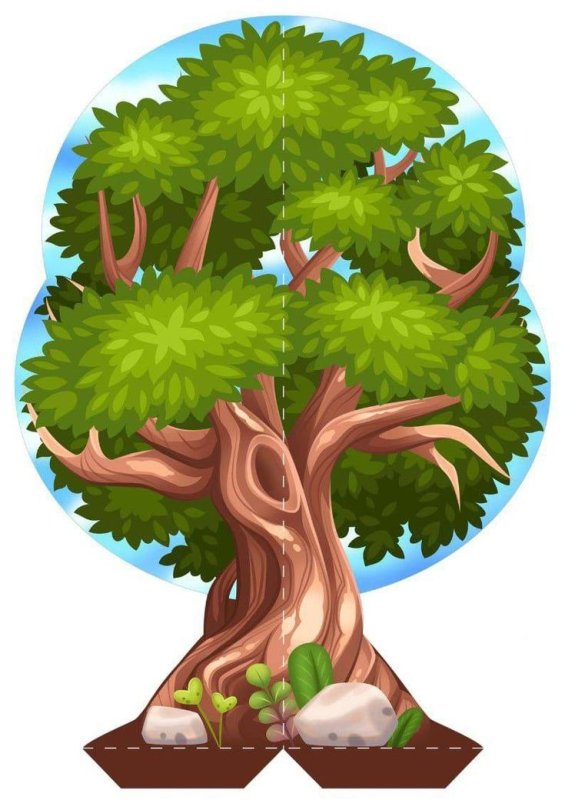 Макет дерева