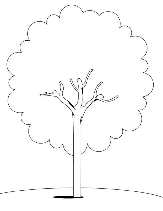 Дерево раскраска