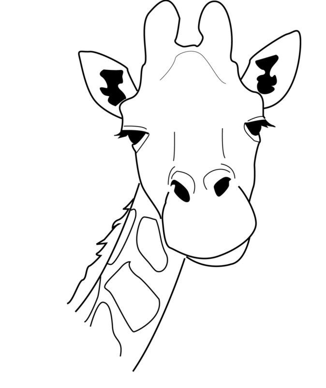 Жирафик раскраска для детей