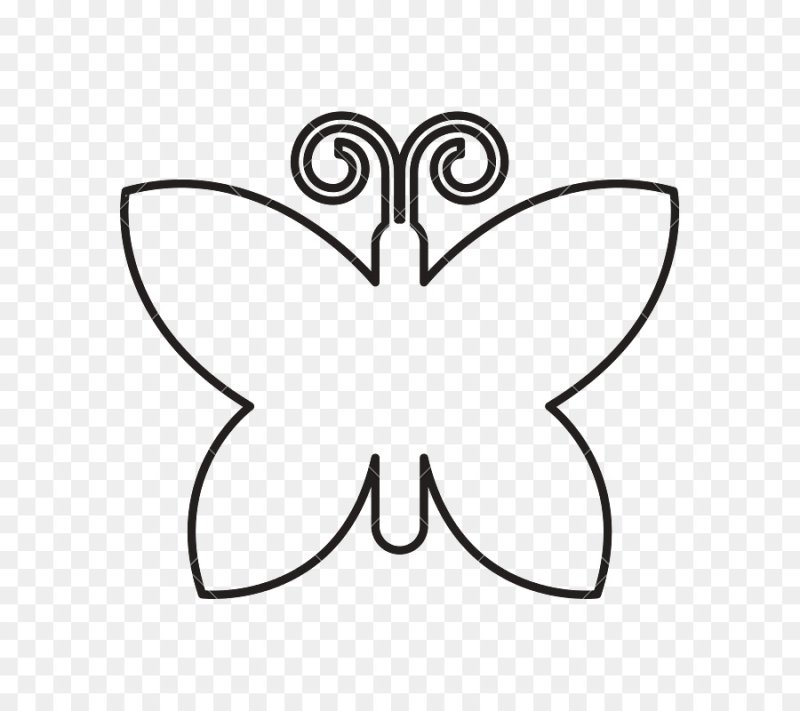 Бабочка контур