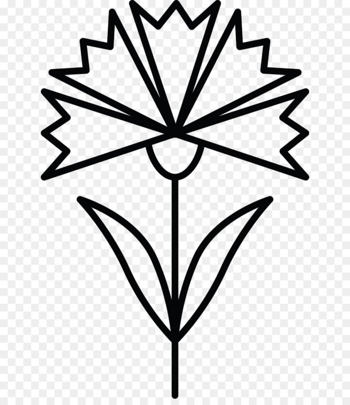 Раскраска Василек цветок