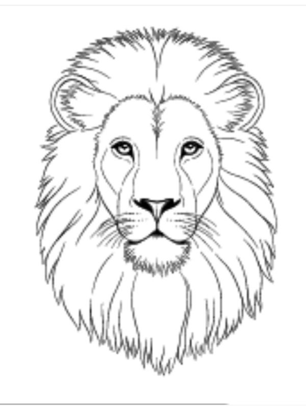 Голова Льва рисунок