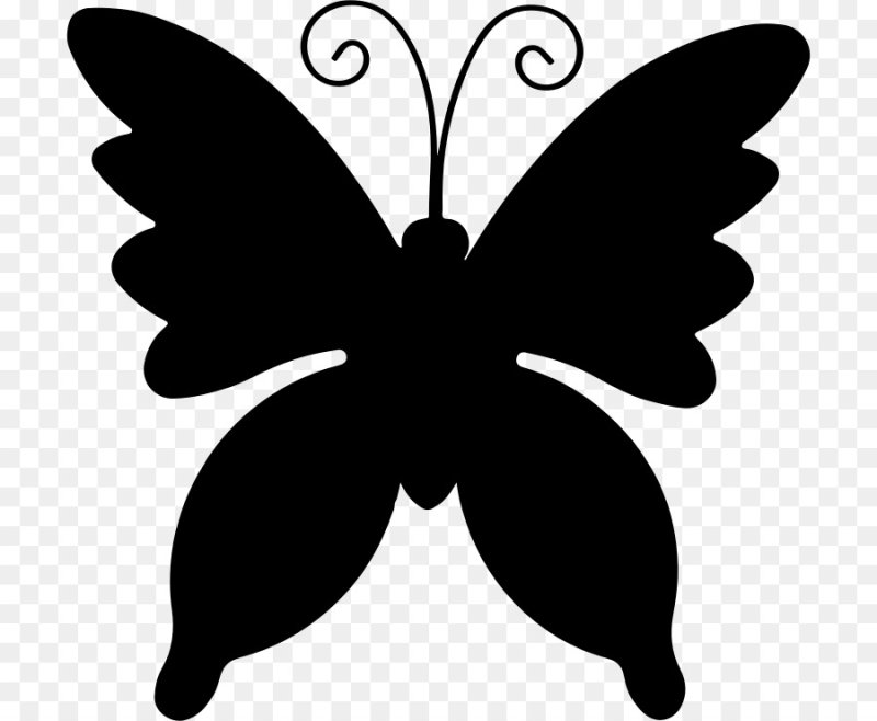 Силуэт бабочки