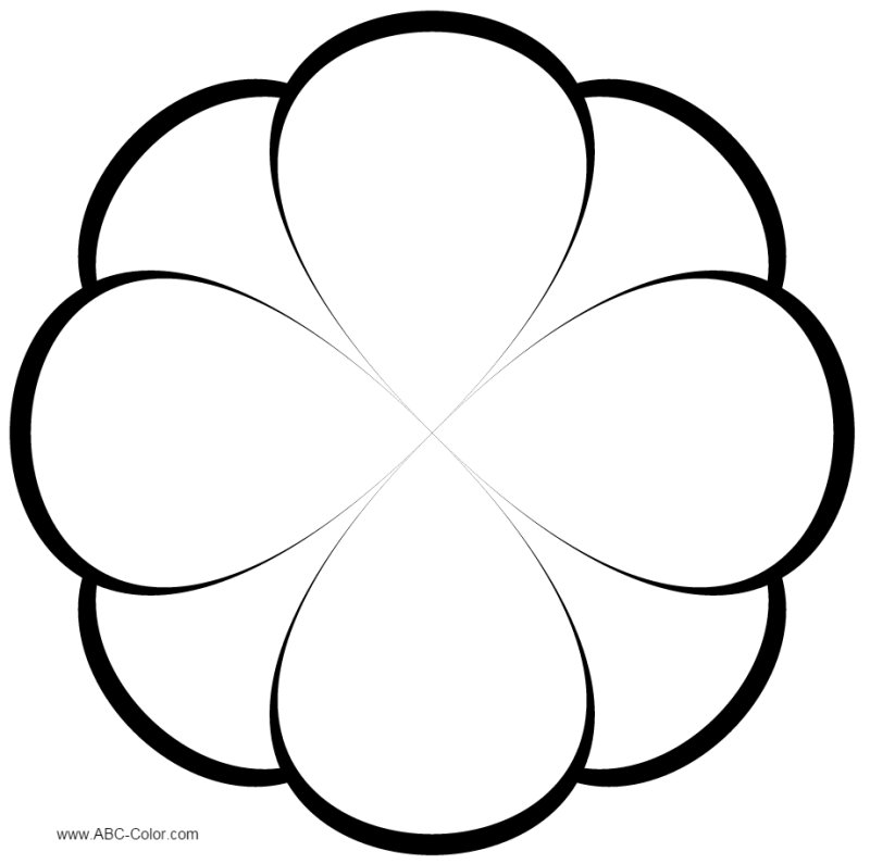 Контуры лепестков цветов