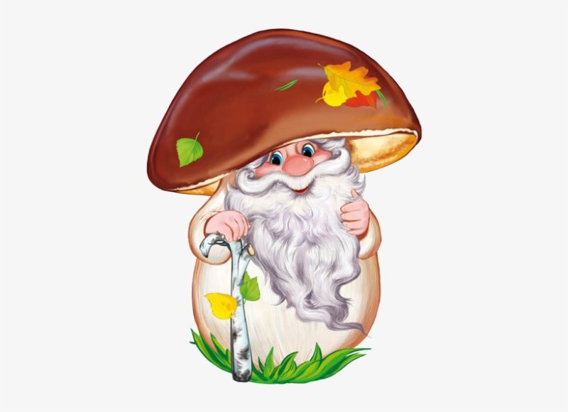 Грибок старичок Лесовичок Садовая