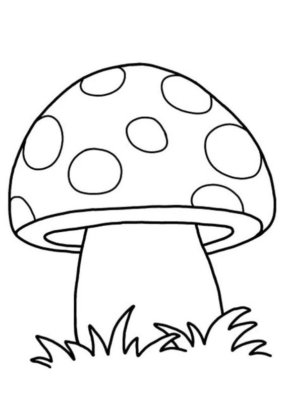Раскраска гриб Боровик и мухомор