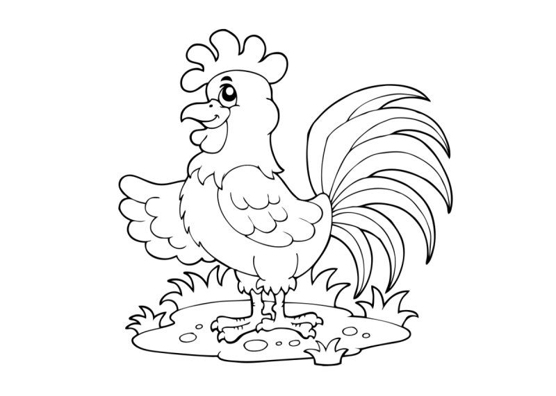 Петушок и бобовое зернышко раскраска для детей