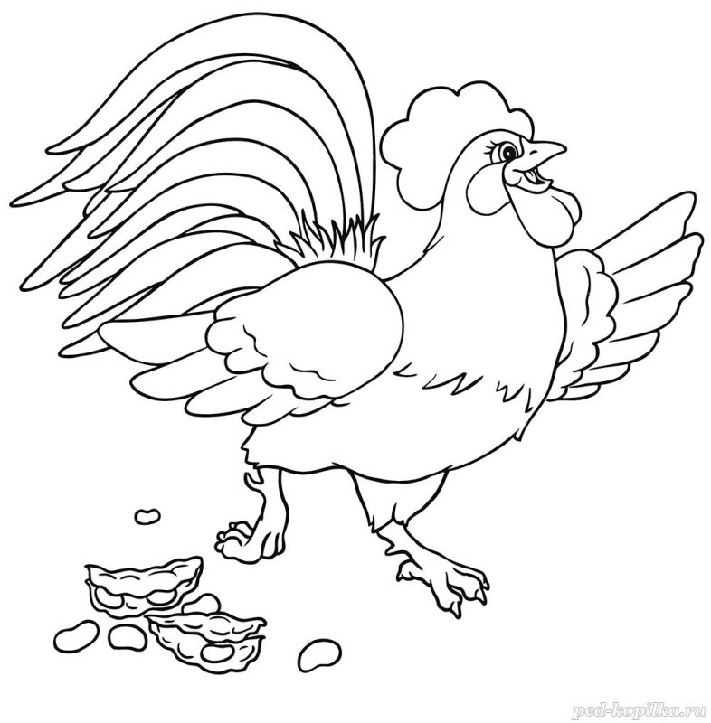 Петух и бобовое зернышко